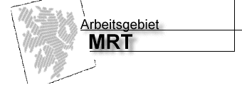 Arbeitsgruppe Kernspintomographie